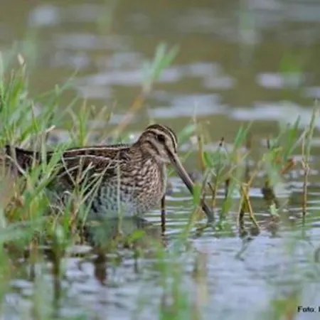 Spacious In Near The Centre *