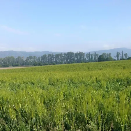 Spacious In Near The Centre *