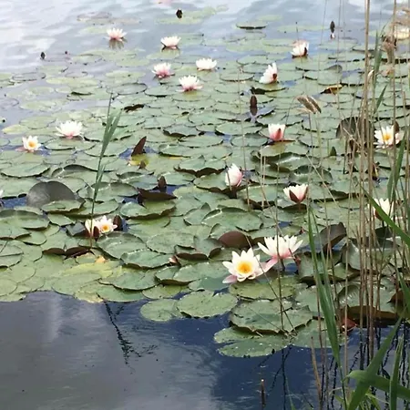 Spacious In Near The Centre