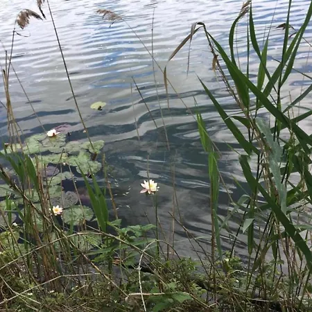 Spacious In Near The Centre *