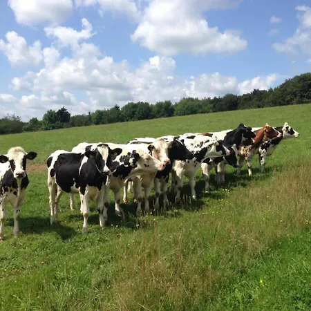 Spacious In Near The Centre