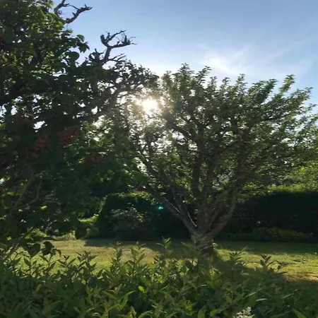 Spacious In Near The Centre Ulmen