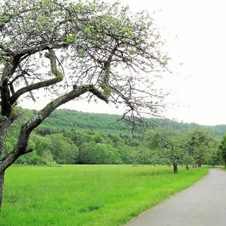 Spacious In Near The Centre Ulmen