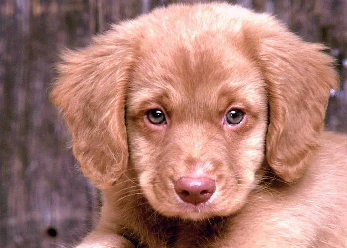 Spacious In Near The Centre Prázdninový dům *