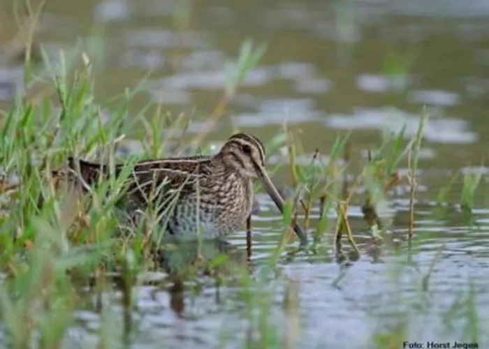 Spacious In Near The Centre *