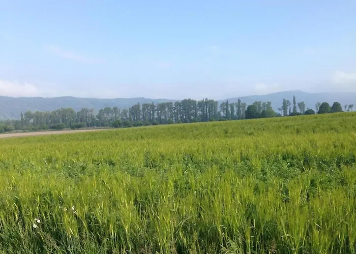 Spacious In Near The Centre *