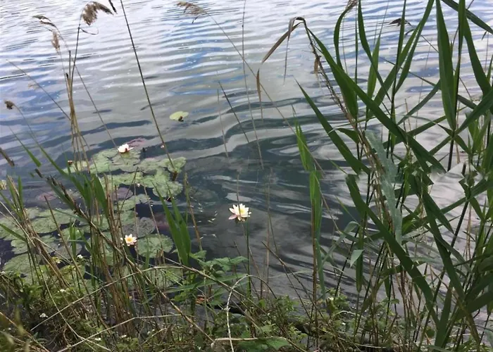 Spacious In Near The Centre *