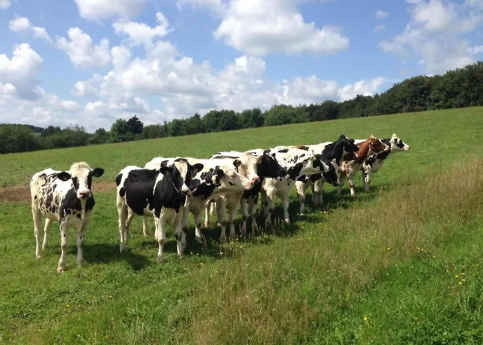 Spacious In Near The Centre