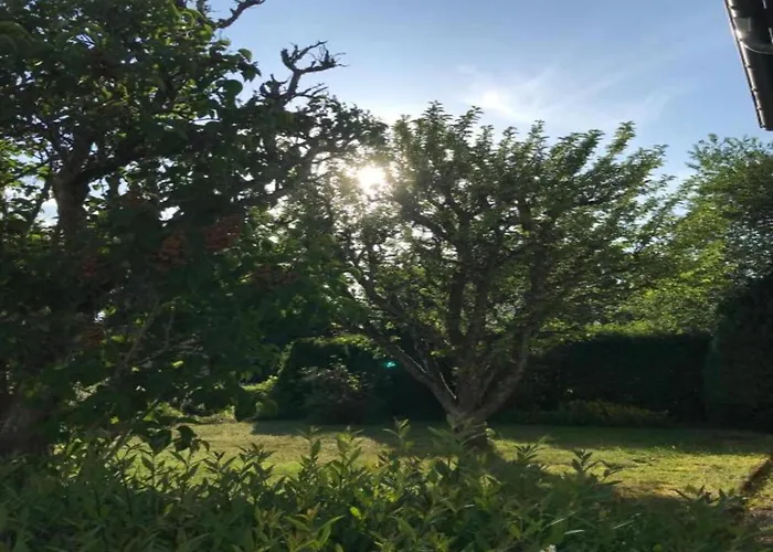 Spacious In Near The Centre Ulmen