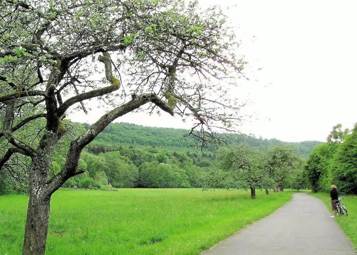 Spacious In Near The Centre Ulmen